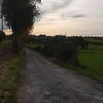 Maison En Bois *
