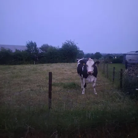 بيت للعطل Maison En Bois