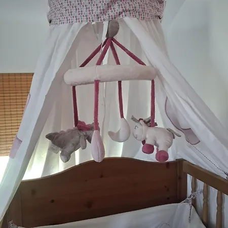 Maison En Bois