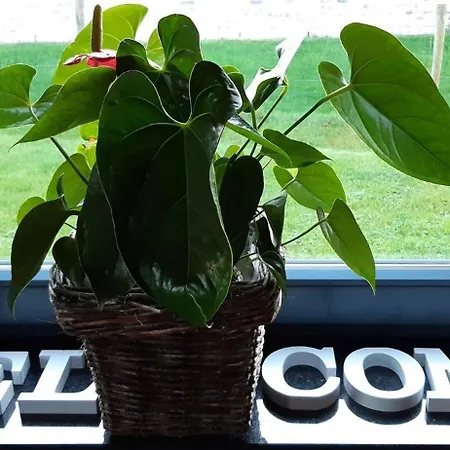 بيت للعطل Maison En Bois Lontzen