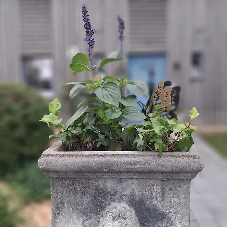 بيت للعطل Maison En Bois *