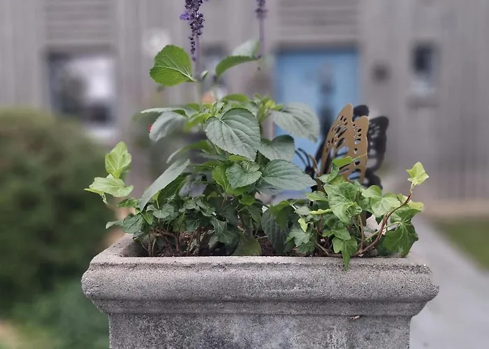 Casa vacanze Maison En Bois *